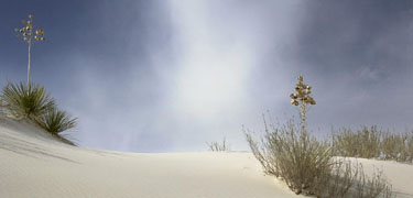 White Sands.jpg