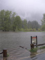 YosemiteFlood.jpg