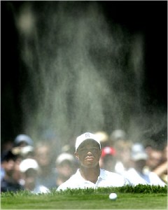 Tiger in a hole