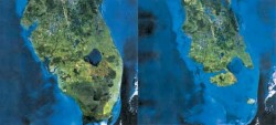 Florida Now and Then