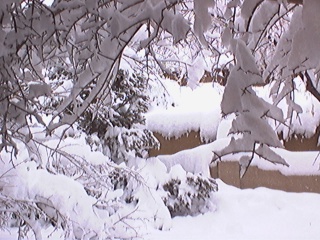 View from my computer