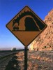 Warning Sign
