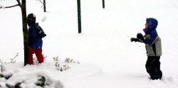 Snowball