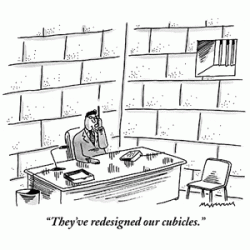 Cubicle