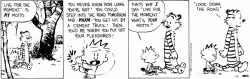 Calvin and Hobbes