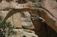 La Ventana Arch