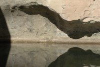 The Pool
