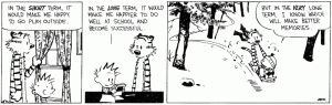 Calvin and Hobbes Calvin and Hobbes