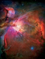 Orion