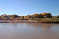 Rio Grande