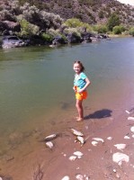 Sweetie Kiley wades in the Rio Grande.