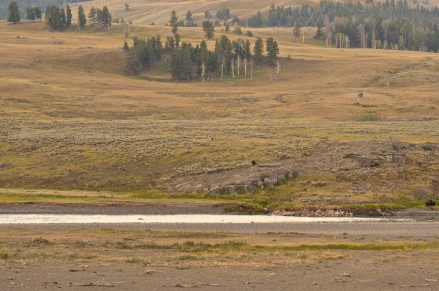 Lamar Valley, Yellowstone Lamar Valley, Yellowstone