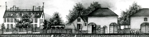 Adams