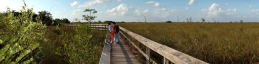 Everglades
