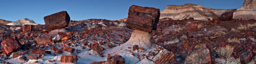 PetrifiedForest