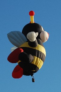 Bee